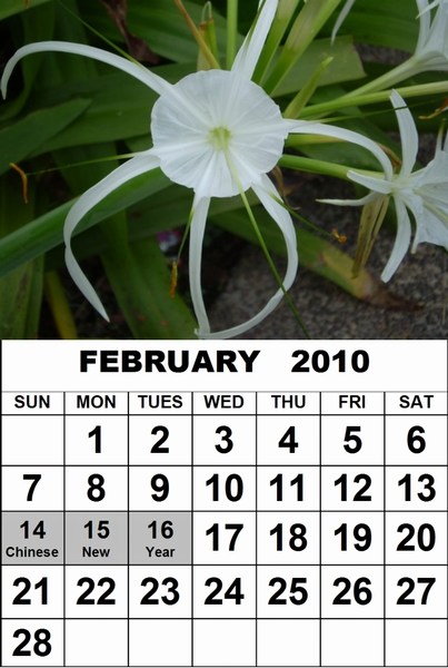 Free February 2010 Singapore Calendar with Public Holidays