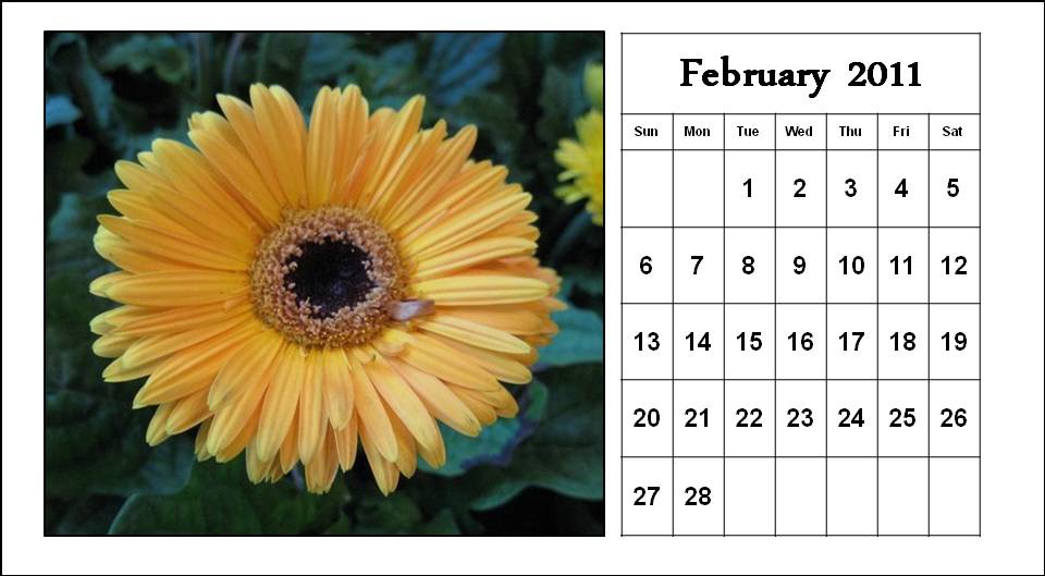 Homemade Calendar 2011 February flowers pictures