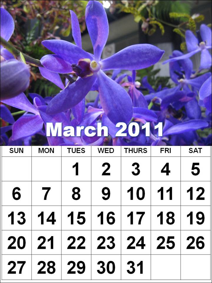 march 2011 calendar background. vertex March+2011+calendar