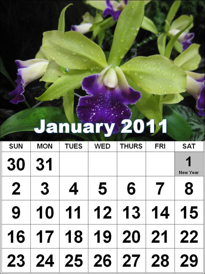 calendar 2011 australia public public holidays 2011 singapore. calendar 2011 australia public