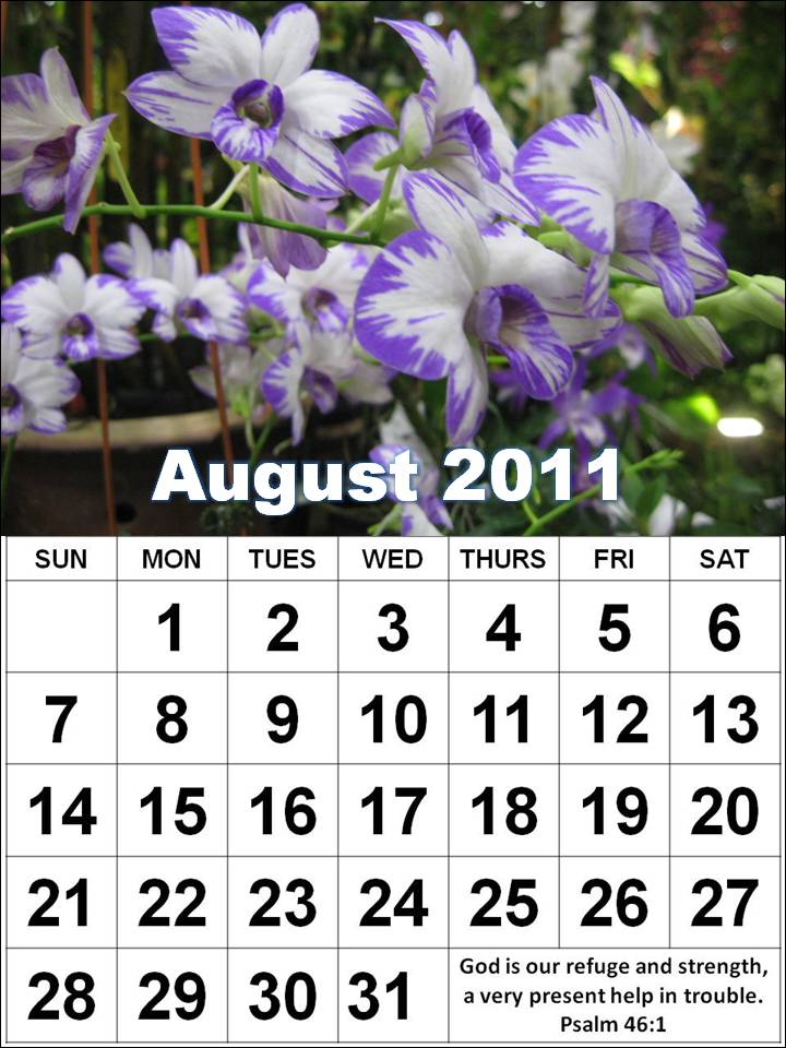 august calendars. august calendars 2011.