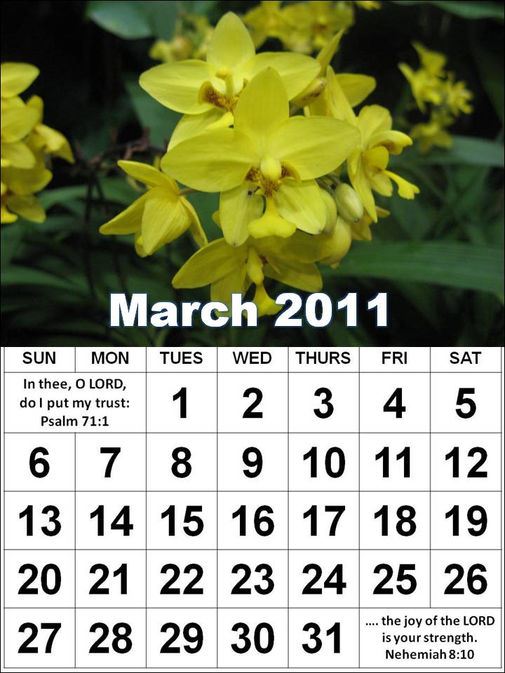 national holidays in march. 2011 March with Holidays: