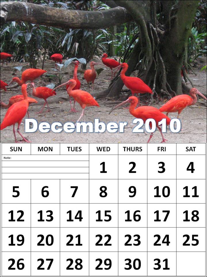 monthly calendar template word
