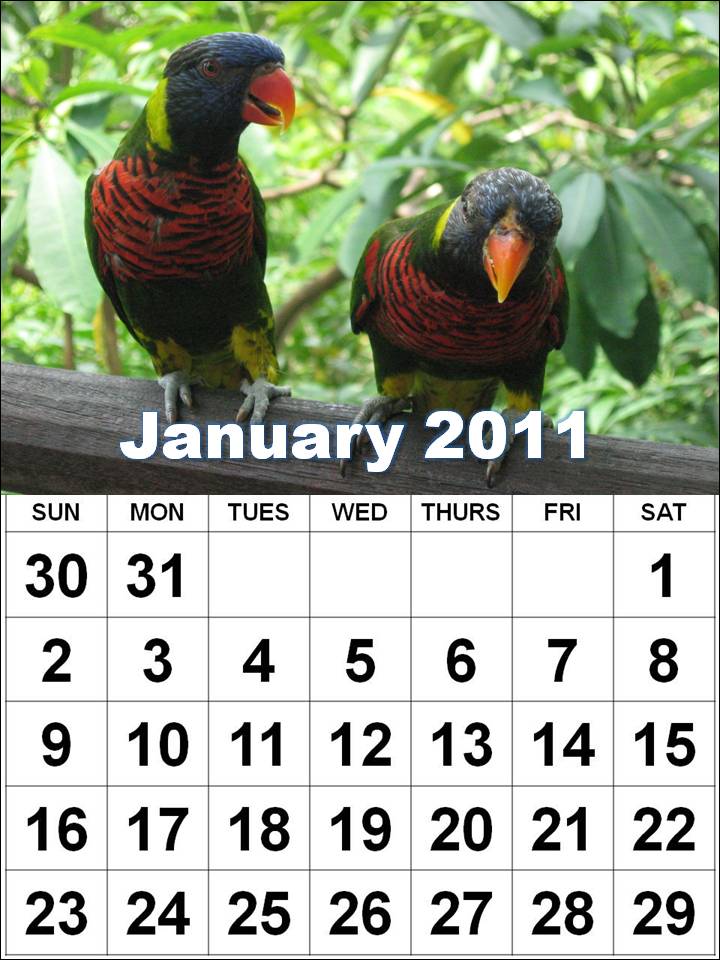yearly calendar 2011. 2011 Yearly Calendar With