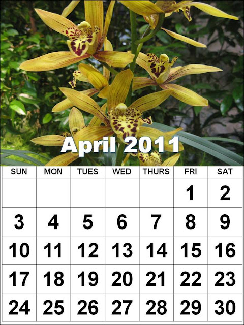 2011 calendar template april. 2011 CALENDAR TEMPLATE APRIL