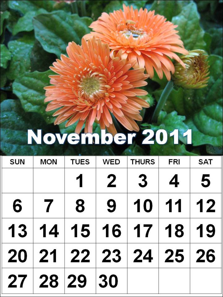 annual calendar 2011 printable. 2011 annual calendar.