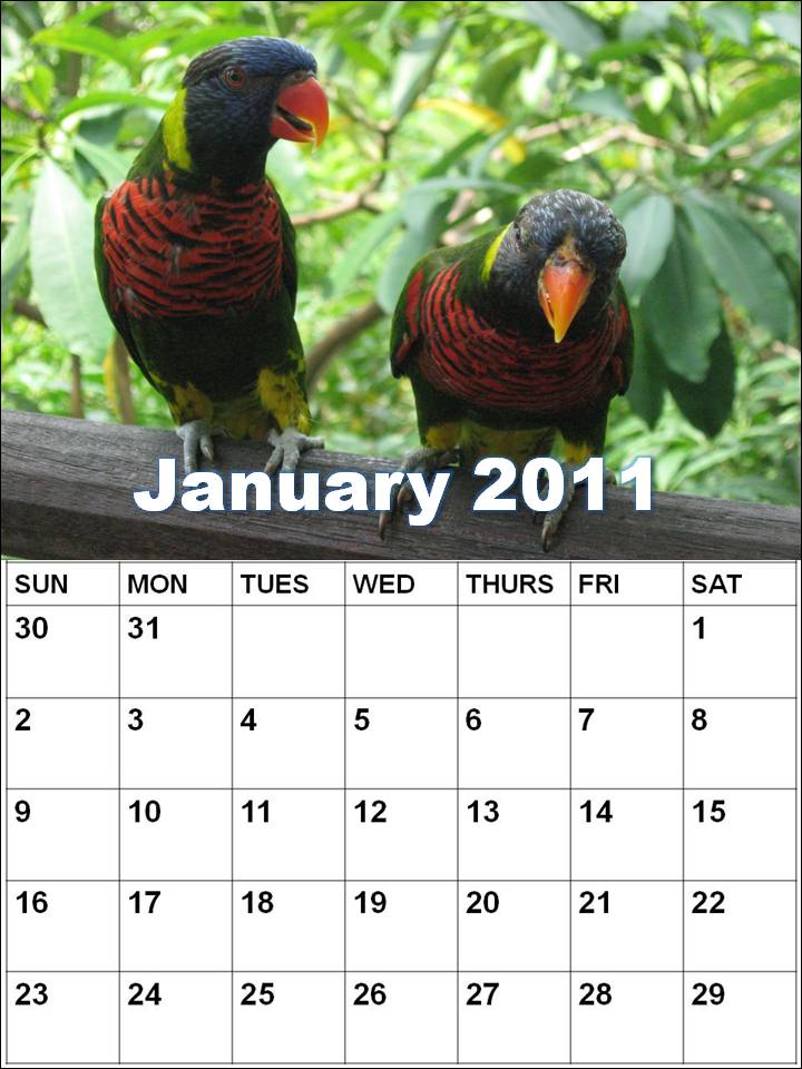 blank january 2010 calendar. lank january calendar 2011.