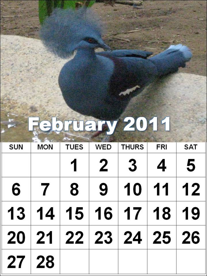 printable february calendar 2011. Free Printable February 2011