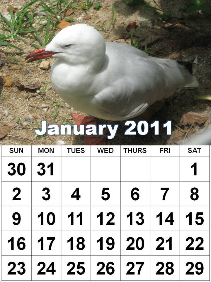 2011 calendar printable january. 2011 calendar printable january. january 2011 calendar uk.