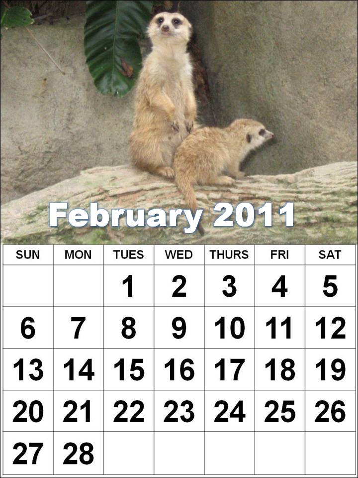 Calendar 2011 Canada Printable calendar 2011 canada printable. Calendar 2011 Canada Printable