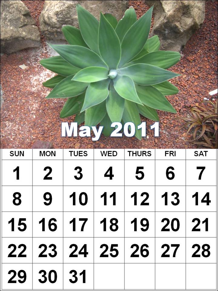 2011 calendar uk printable. printable 2011 calendar uk. 2011 calendar uk printable.