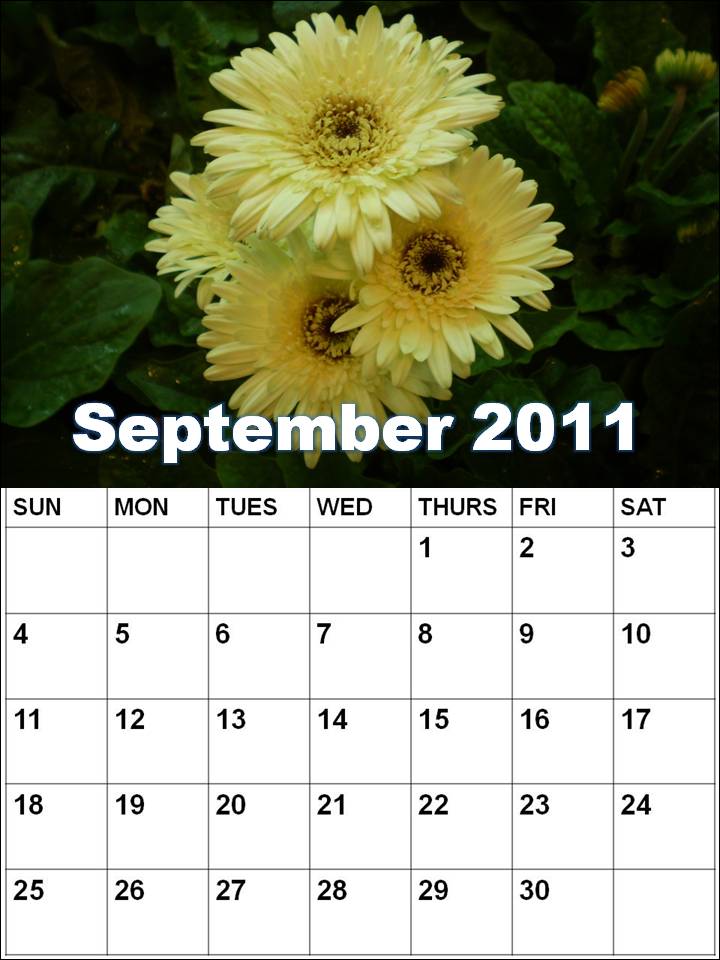 printable weekly calendar 2011. monthly calendar for 2011,