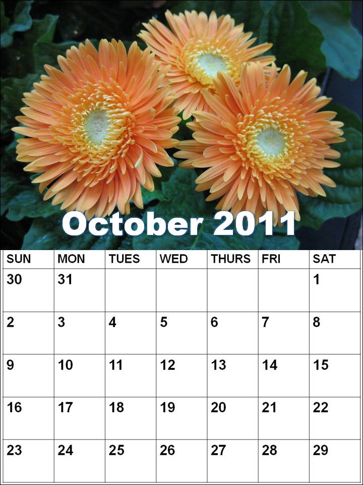 calendar october 2011. october 2011 calendar.
