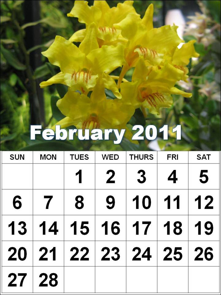 To download and print these Free Big Monthly Calendar 2011 February with big 