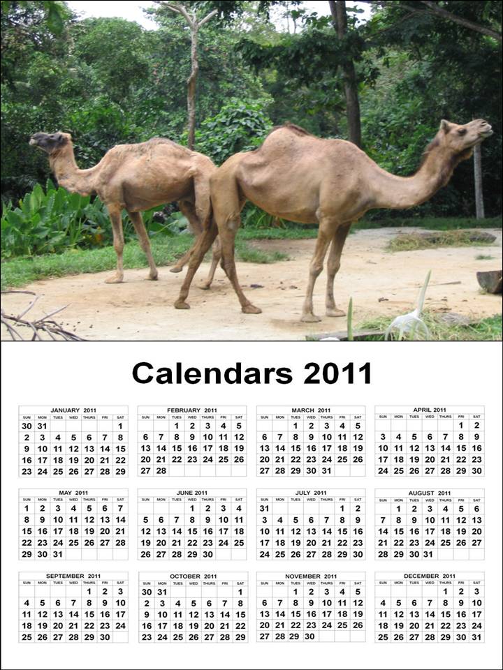 calendar 2011, calendar 2012 yearly calendar 2012 printable. calendar 2011, calendar 2012