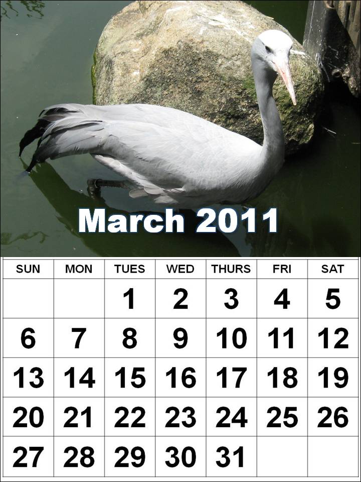 weekly calendar march 2011. Maker download weekly calendar