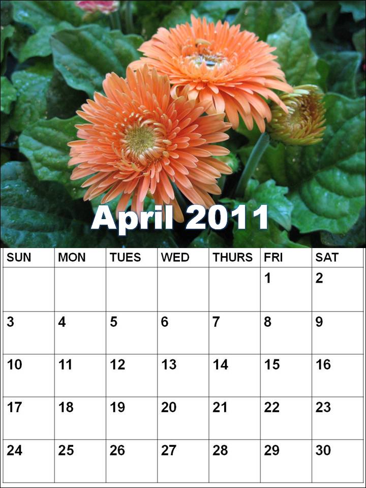 weekly schedule template weekly calendar template excel. weekly schedule template