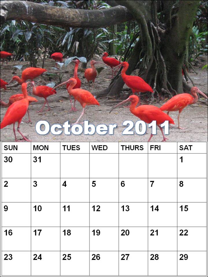 july and august calendar 2011. july august calendar 2011. july and august calendar 2011.