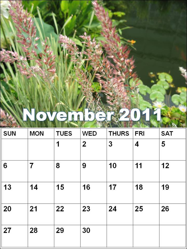 june 2011 calendar template. june 2011 calendar template. june 2011 calendar template.
