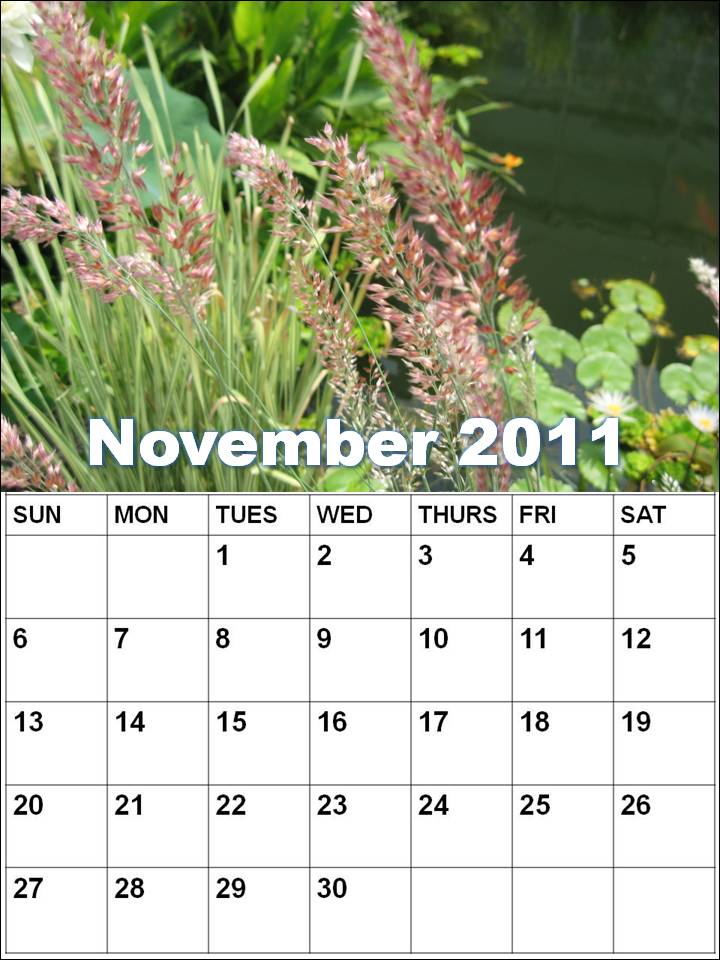 november 2011 calendar. is November+2011+calendar+