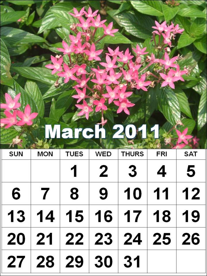 monthly calendar march 2011.