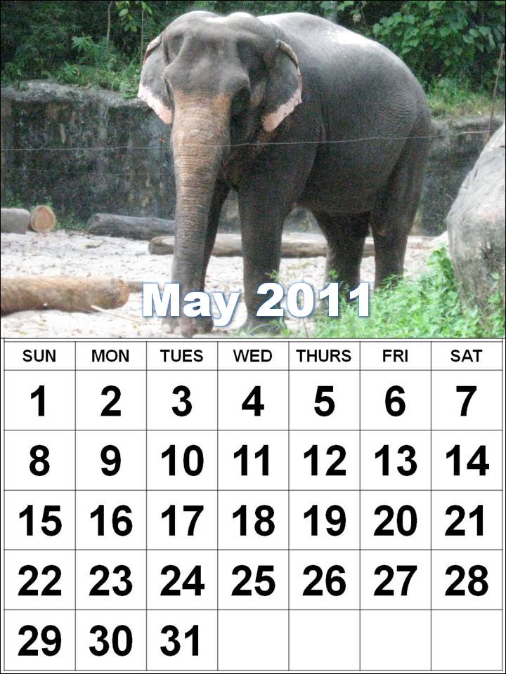 May+month+2011+calendar