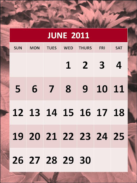 june 2011 calendar printable. june 2011 calendar template.