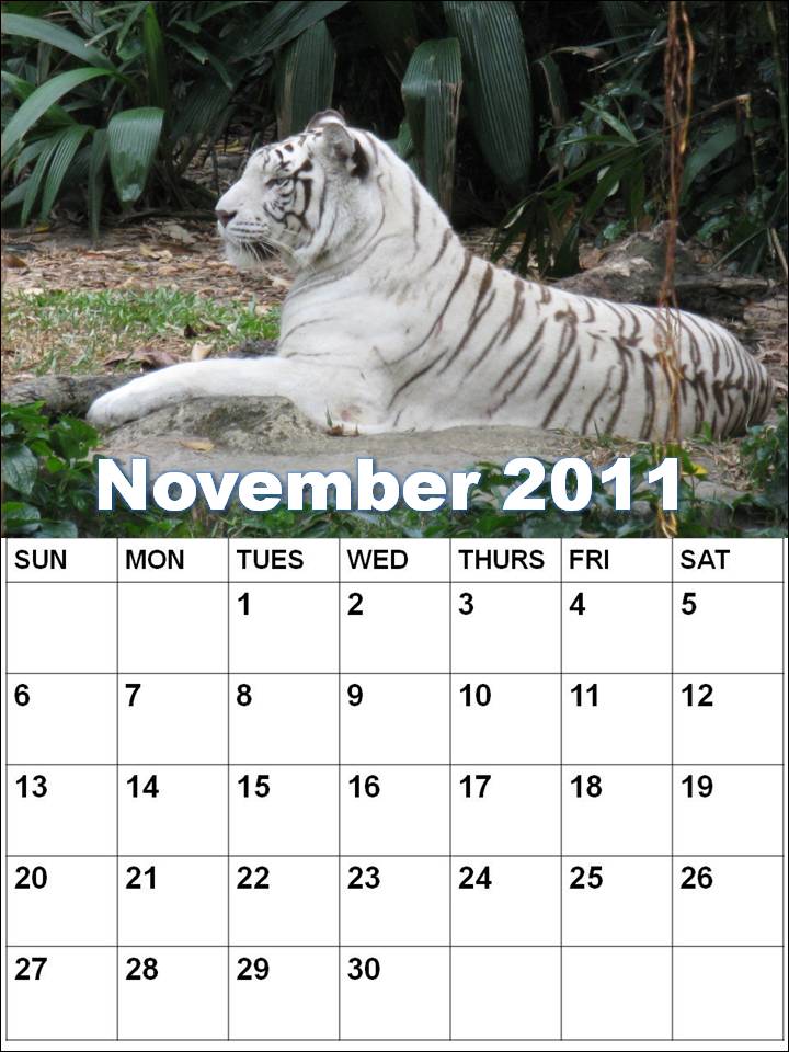 2011 november calendar. Monthly+planner+2011+