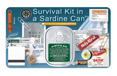 Sardine can contents
