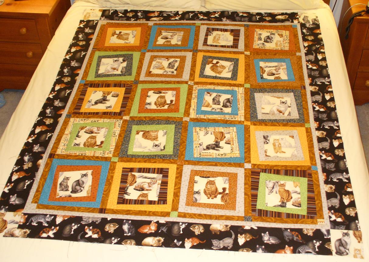 THE QUILTING CAT Cattywampus