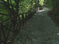 Mulattiera di Sant'Alberico