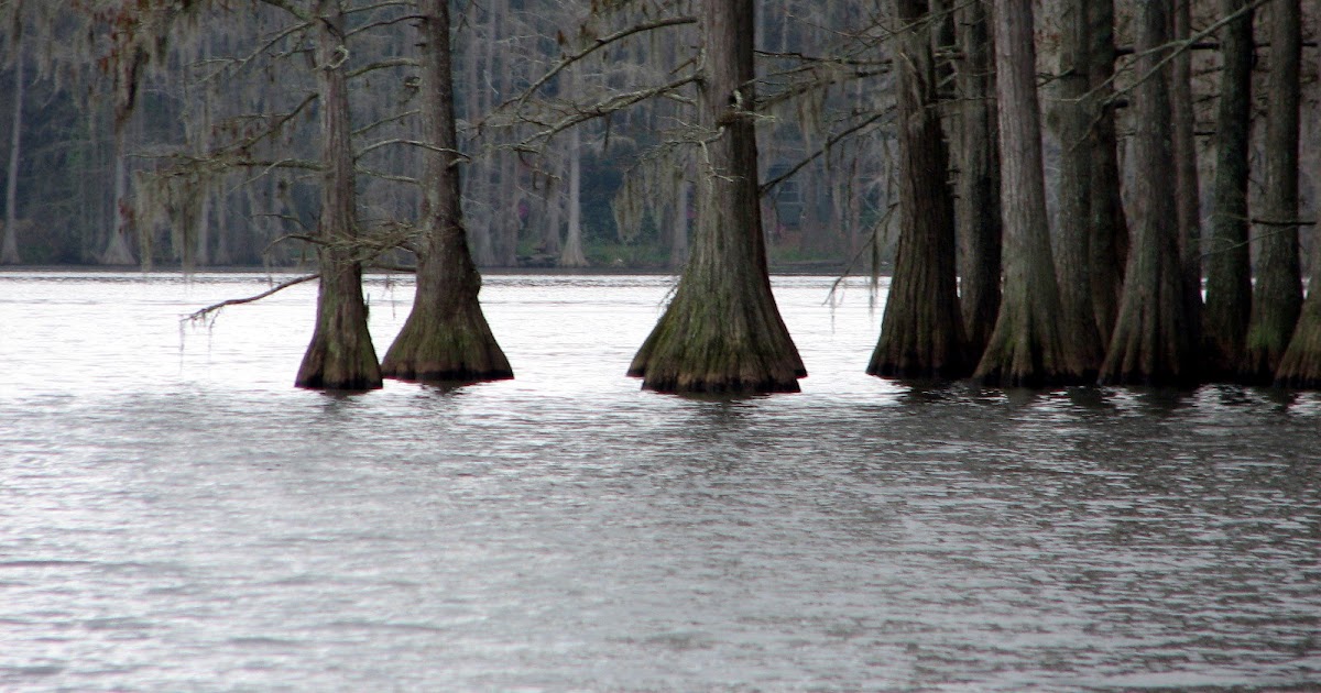 Florida Recreation Lake Munson