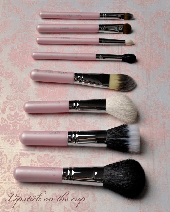 Sigma Makeup Travel Kit (Nice in Pink) Review Sigma Makeup Travel Kit (Nice in Pink) Review