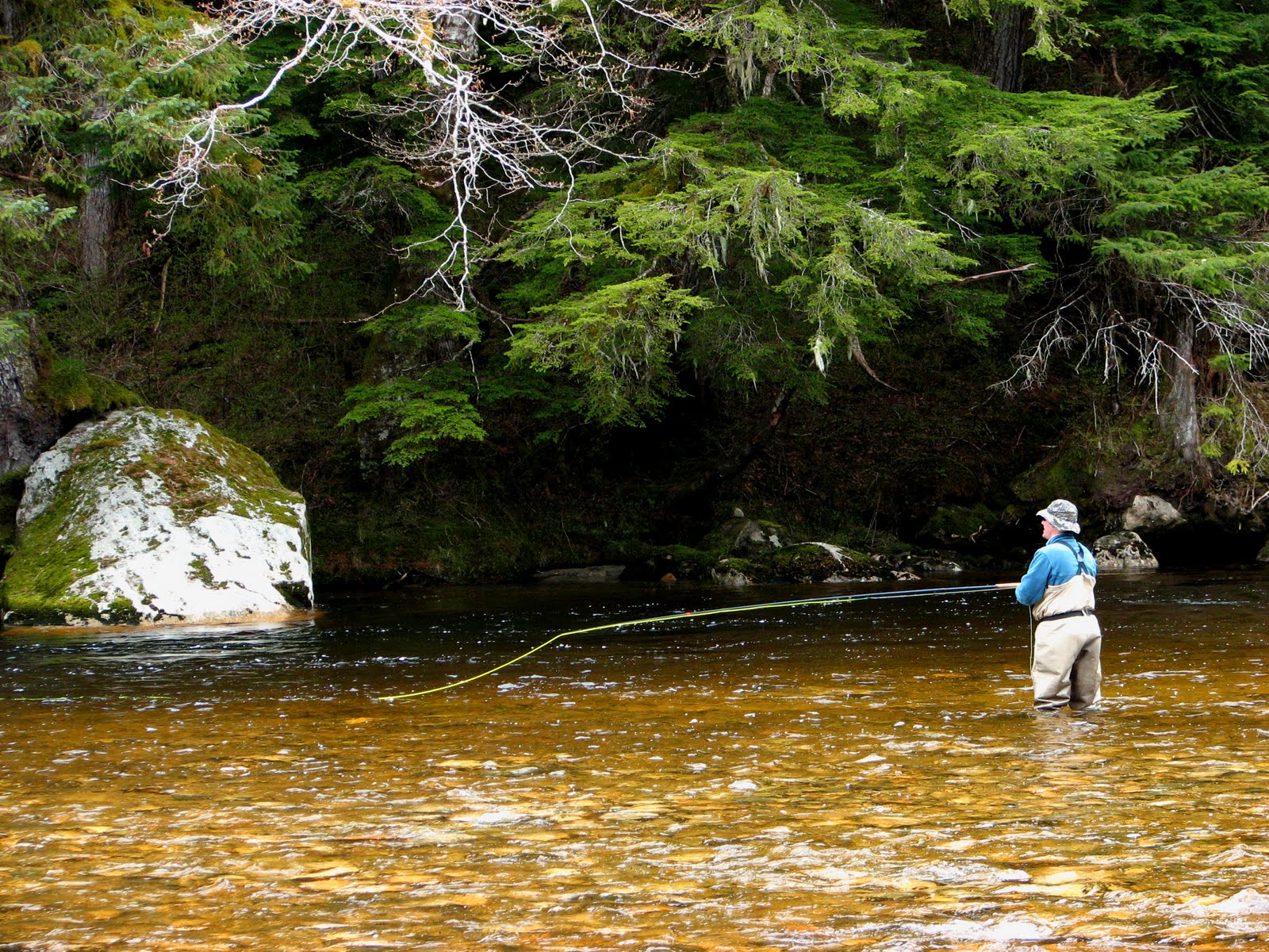 Country Pleasures Fly Fishing Spring Steelhead in Terrace BC