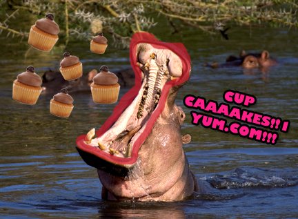 [nice.jpeg]