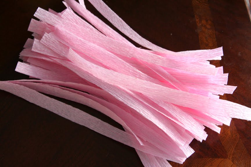 [strips+of+crepe+paper.jpg]