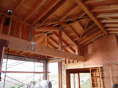 cliff house framing
