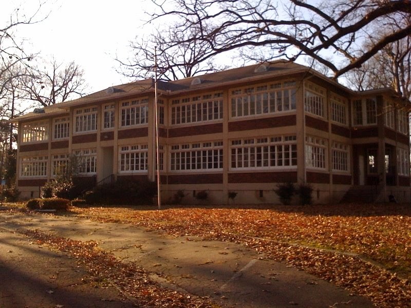 Memphis Heritage Tall Trees Beautiful and Vacant
