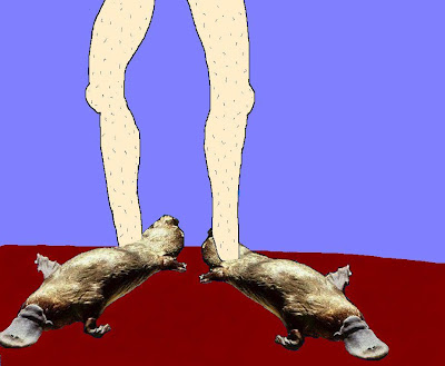 platypuses feet