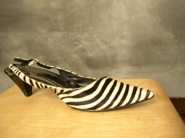 [zebra+shoe.JPG]