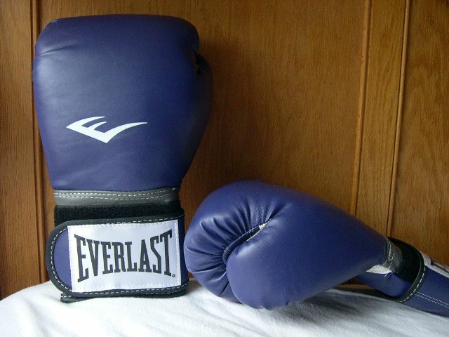 [blue+gloves.JPG]