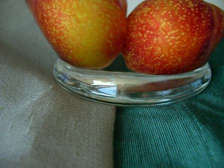 [Pluot_vase.JPG]