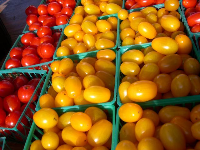[farmers+tomatoes.JPG]