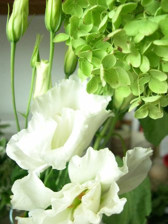 [floralcombos.JPG]