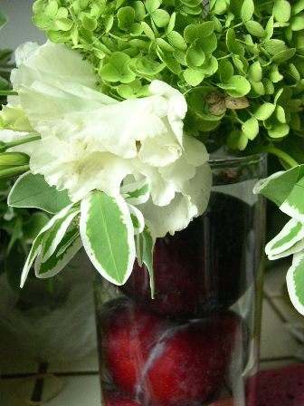 [plum+option2.JPG]