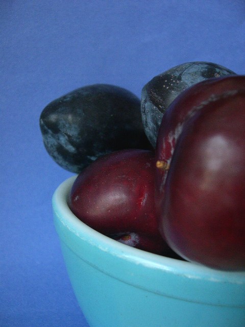 [plums3.JPG]