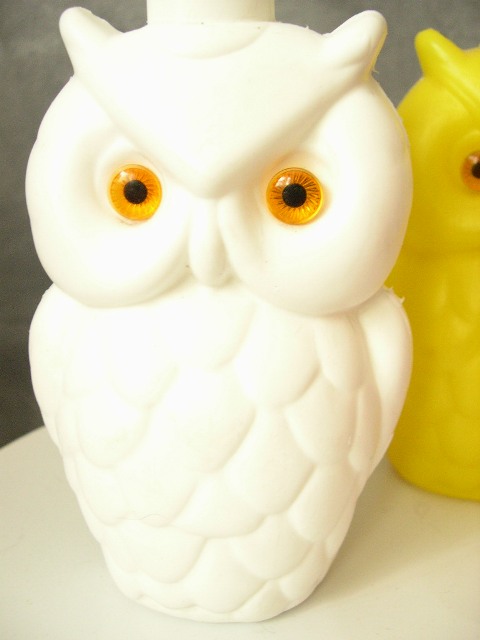 [owl+light+white.JPG]