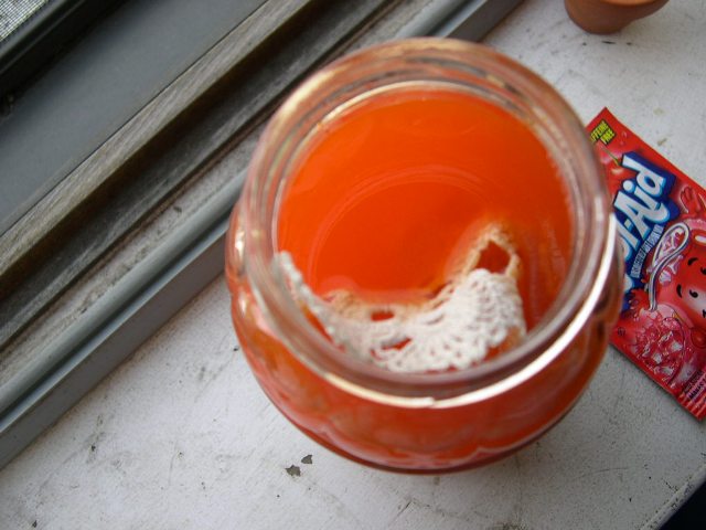 [dye+dip.JPG]