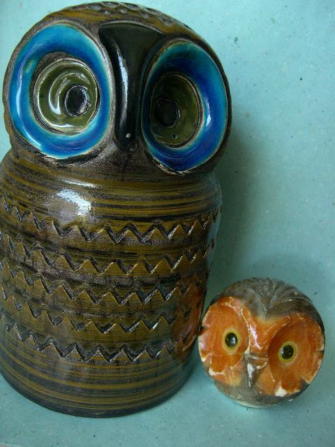[italian_owls.JPG]