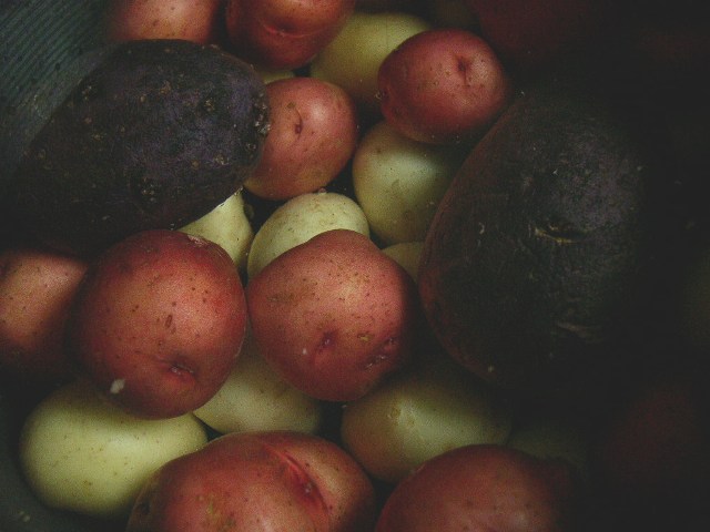 [redwhitebluepotatopot.JPG]